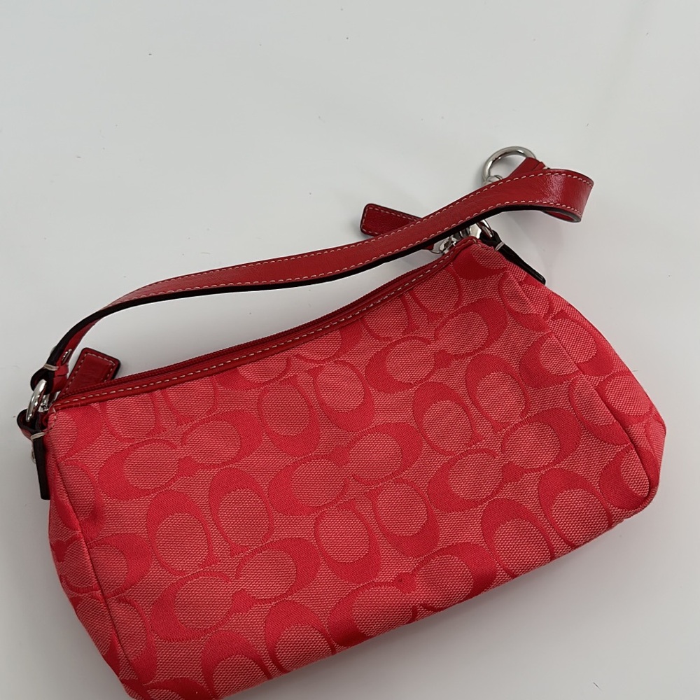 Mini coach bag